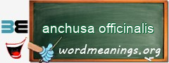 WordMeaning blackboard for anchusa officinalis